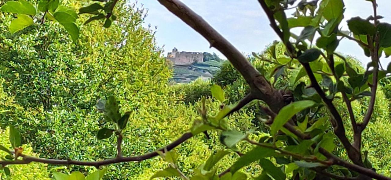 Ferienwohnung Belchenblick ستوفت ام بريسغو المظهر الخارجي الصورة