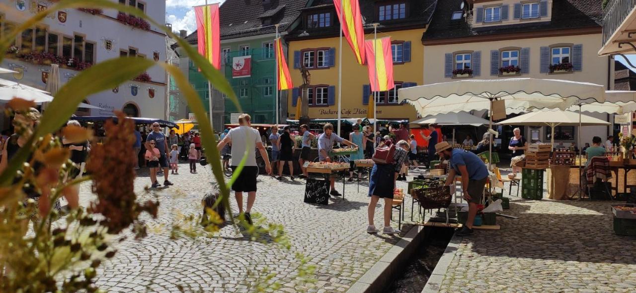 Ferienwohnung Belchenblick ستوفت ام بريسغو المظهر الخارجي الصورة
